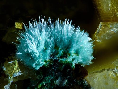 Parnauita<br />Concesión La Cena del Depósito, Cantera Este, Cerro Minado, Huércal-Overa, Comarca Levante Almeriense, Almería, Andalucía, España<br />4 mm<br /> (Autor: Borja Sainz de Baranda)