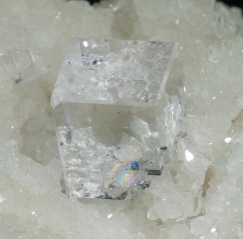 Fluorita con inclusiones de Calcopirita<br />Cantera Llamas, filón Obdulia, zona Minera Caravia, Las Cabañas, Duyos, Caravia, Comarca Oriente, Principado de Asturias (Asturias), España<br />cristal mayor: 1 × 0.7 cm<br /> (Autor: Jordi Fabre)