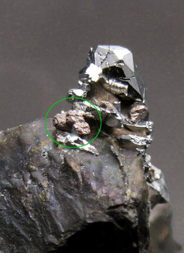 Cabriíta con Sperrylita<br />Depósito Oktyabr'skoe, Talnakh, Noril'sk, Putoran Plateau, Península Taimyr, Taymyrskiy Autonomous Okrug, Krasnoyarsk Krai, Rusia<br />2 × 1.5 × 2 cm<br /> (Autor: Jordi Fabre)