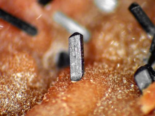 Groutita, Ópalo<br />Mina Black Water, Cuenca Black Mesa, Distrito Chinle, Condado Apache, Arizona, USA<br />Cristal de 1,5 mm.<br /> (Autor: Antonio P. López)