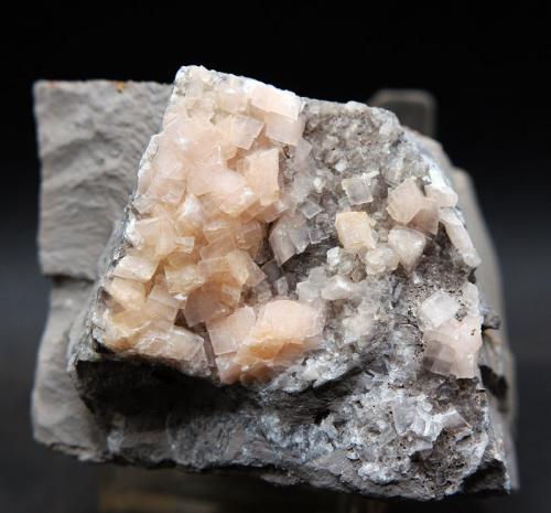 Dolomita<br />Rambla del Rollet, El Alabastre, La Cañada del Fenollar, Comarca Campo de Alicante, Alicante / Alacant, Comunidad Valenciana / Comunitat Valenciana, España<br />6 x 4.5 cm<br /> (Autor: Pedro Antonio)