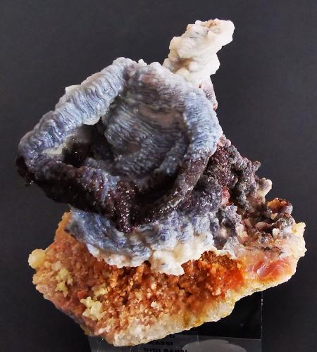 Quartz<br />Sidi Rahal, Provincia El Kelaâ des Sraghna, Región Marrakech-Safi, Marruecos<br />12cmx11cm<br /> (Author: Enrique Llorens)