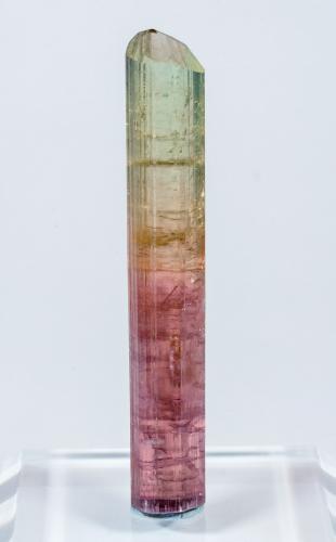Elbaite<br />Rubaya, Bahunde, Territorio Masisi, Provincia Kivu del Norte (Kivu), República Democrática del Congo (Zaire)<br />7 × 1.2 × 1 cm<br /> (Author: Jordi Fabre)