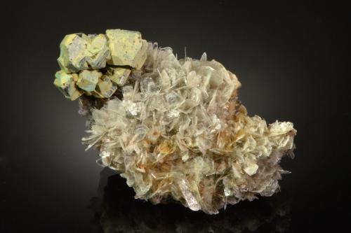 Kësterite<br />Monte Xuebaoding, Pingwu, Prefectura Mianyang, Provincia Sichuan, China<br />5.2 x 3.2 x 2.0 cm<br /> (Author: Michael Shaw)