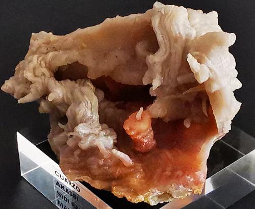 Quartz<br />Akassi, Tazarout, zona Sidi Rahal, Provincia El Kelaâ des Sraghna, Región Marrakech-Safi, Marruecos<br />7cmx5cm<br /> (Author: Enrique Llorens)