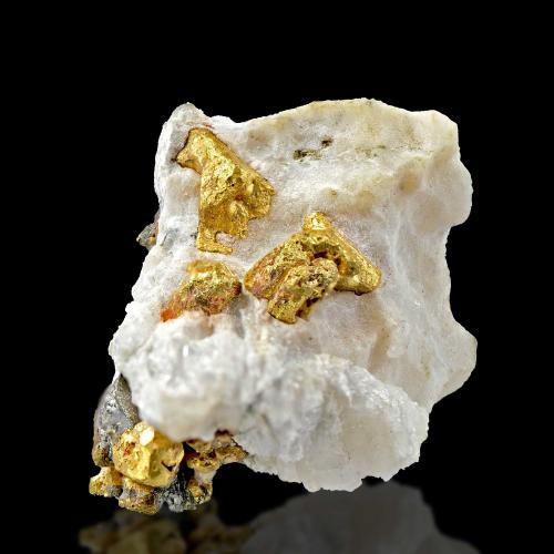 Gold, quartz, arsenopyrite<br />Mina Diltz, Mariposa, Distrito Whitlock, Condado Mariposa, California, USA<br />Specimen size 2,5 x 2 cm<br /> (Author: Tobi)