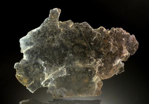 Phlogopite<br />Lafayette, Condado Montgomery, Pennsylvania, USA<br />9.8 x 6.9 cm<br /> (Author: Michael Shaw)