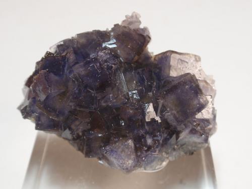 Fluorita<br />Villabona Mines, Barrio de la Estación, Villabona, Llanera, Comarca del Nora, Principality of Asturias (Asturias), Spain<br />40x30 mm<br /> (Autor: Ignacio)