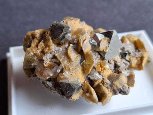 Pyrite, Siderite, Quartz<br />Ánimas Mine, Chocaya-Animas mining district, Ánimas , Chocaya, Municipio Atocha, Sud Chichas Province, Potosí Department, Bolivia<br />5 x 3 cm<br /> (Author: Volkmar Stingl)