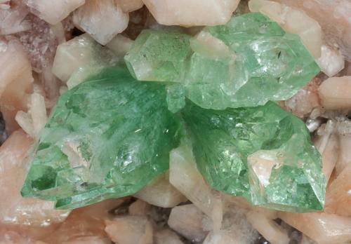 Fluorapophyllite-(K) with Stilbite-Ca<br />Distrito Pune (Distrito Poonah), Maharashtra, India<br />main crystal size: 3.5 × 2 cm<br /> (Author: Jordi Fabre)