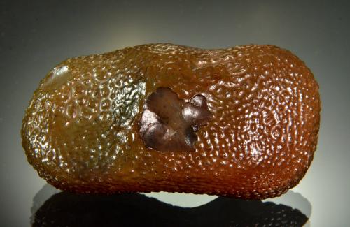 Chalcedony<br />Rome, Malheur County, Oregon, USA<br />7.4 x 3.6 x 2.5 cm<br /> (Author: Michael Shaw)