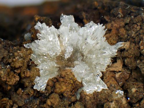 Taumasita<br />Mina Iron Cap, Landsman Camp, Aravaipa, Distrito Aravaipa, Montes Santa Teresa, Condado Graham, Arizona, USA<br />Grupo de cristales de 6 mm.<br /> (Autor: Antonio P. López)