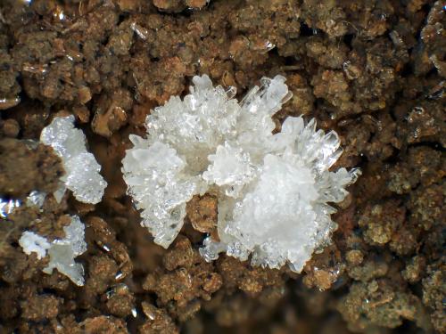 Taumasita<br />Mina Iron Cap, Landsman Camp, Aravaipa, Distrito Aravaipa, Montes Santa Teresa, Condado Graham, Arizona, USA<br />Grupo de cristales de 4 mm.<br /> (Autor: Antonio P. López)