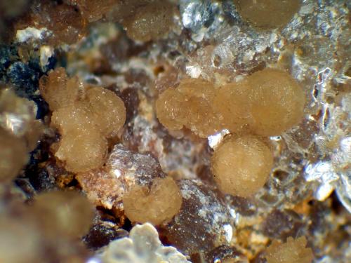 Eosphorita<br />Concesión Ilha, Taquaral, Itinga, Vale do Jequitinhonha, Minas Gerais, Brasil<br />Glóbulos de 3 mm.<br /> (Autor: Antonio P. López)