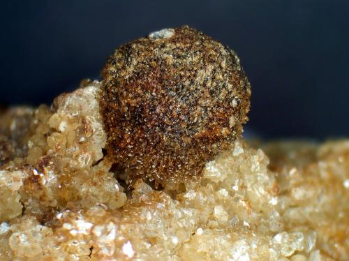 Zanazziita, Eosforita<br />Concesión Ilha, Taquaral, Itinga, Vale do Jequitinhonha, Minas Gerais, Brasil<br />Esfera de 6 mm.<br /> (Autor: Antonio P. López)