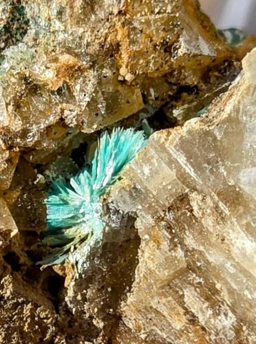 Aurichalcite<br />Coldstones Quarry, Sun vein, Greenhow, Yorkshire, England / United Kingdom<br />5mm<br /> (Author: Forrestblyth)