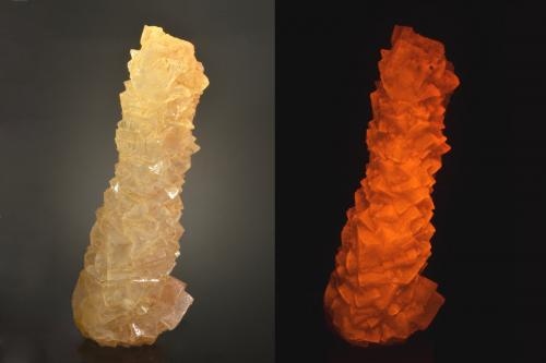 Halite<br /><br />12.4 x 4.3 x 3.0 cm<br /> (Author: Michael Shaw)