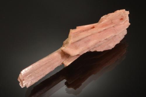 Schizolite<br />Cantera Poudrette, Mont Saint-Hilaire, La Vallée-du-Richelieu RCM, Montérégie, Québec, Canadá<br />8.6 x 2.5 x 2.1 cm<br /> (Author: Michael Shaw)