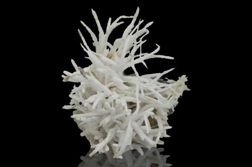 Aragonite (variety flos ferri)<br />Mina Hilarion, Zona Hilarion, Minas Kamariza, Agios Konstantinos, Distrito minero Lavrion, Prefectura Attikí (Attica), Grecia<br />7 x 8 x 6.5 cm<br /> (Author: MIM Museum)