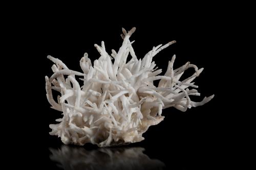 Aragonite (variety flos ferri)<br />Mina Hilarion, Zona Hilarion, Minas Kamariza, Agios Konstantinos, Distrito minero Lavrion, Prefectura Attikí (Attica), Grecia<br />7 x 8 x 6.5 cm<br /> (Author: MIM Museum)