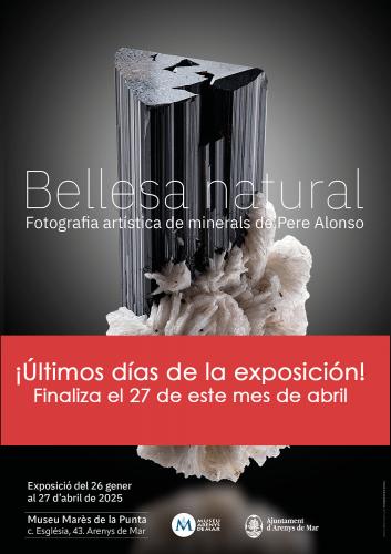 CARTELL Últimos días expo Castellano.jpg (Autor: Pere Alonso)
