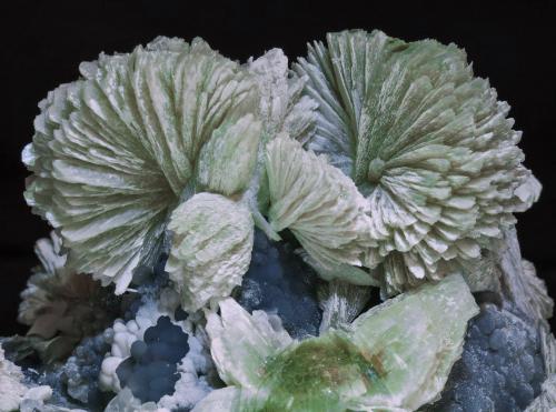 Tarbuttita con Smithsonita<br />Skorpion Mine, Rosh Pinah, Lüderitz District, ǁKaras Region, Namibia<br />9.7 × 6.3 × 4.8 cm<br /> (Autor: Jordi Fabre)
