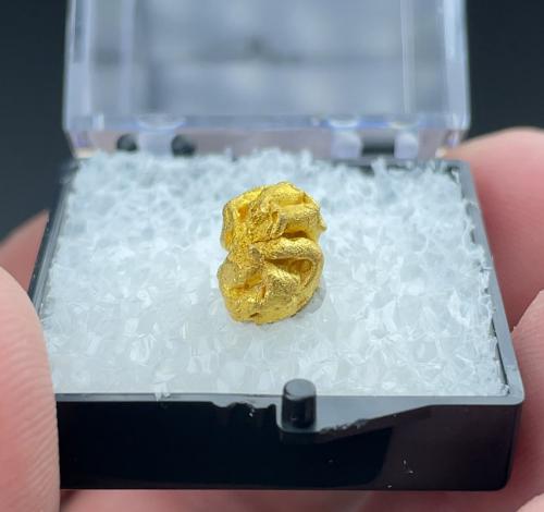 Gold<br />Serra Dourada, Pontes e Lacerda, Alto Guaporé District, Mato Grosso, Brazil<br />10 mm x 7 mm x 6 mm<br /> (Author: Carles Millan)