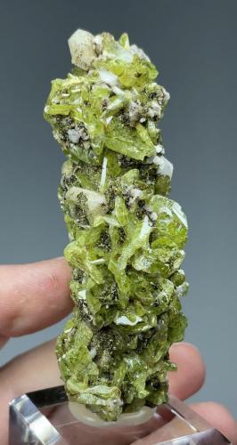 Titanita, Albita<br />Ankarafa, Vohémar District, Sava Region (Northeastern Region), Antsiranana Province, Madagascar<br />85 mm x 34 mm.. Cristal mayor: 12 mm. Masa: 95 g.<br /> (Autor: Carles Millan)