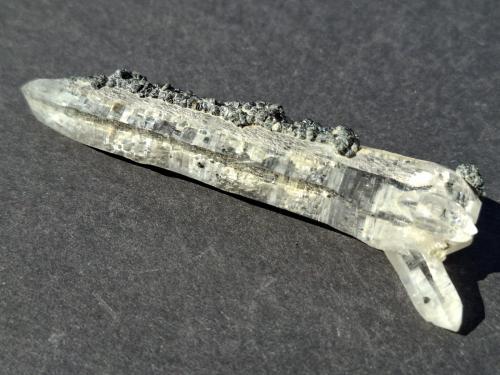 Quartz, Clinochlore<br />Neves Lake area, Lappago, Selva dei Molini Valley, Trento Province, Trentino-Alto Adige (Trentino-Südtirol), Italy<br />7,0 x 1,4 cm<br /> (Author: Volkmar Stingl)