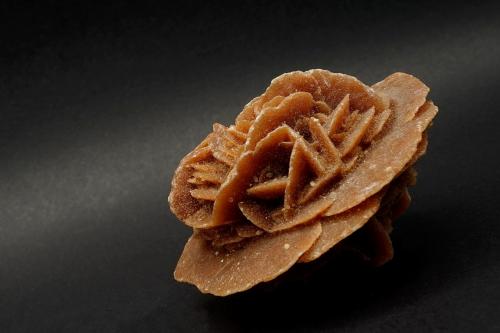 Gypsum<br />Ouargla, Ouargla District, Ouargla Province, Algeria<br />5,2x5x3,5 cm. / 45 g<br /> (Author: DanovskiM)