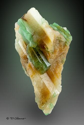 Berilo (variedad esmeralda)  en cristal de Cuarzo<br />Provincia Yunnan, China<br />4,6cm x 3cm x 2,5cm<br /> (Autor: Pere Alonso)