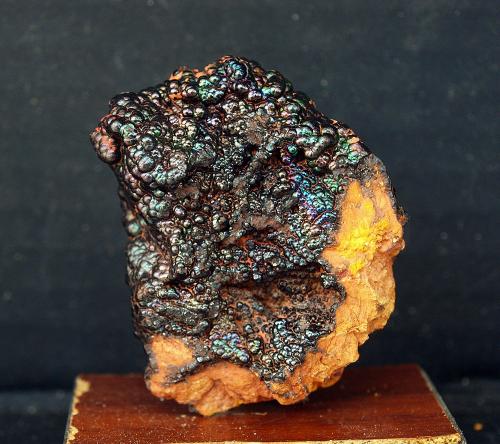 Goethita<br />Corta Filón Norte, Minas de Tharsis, Tharsis, Alosno, Comarca El Andévalo, Huelva, Andalucía, España<br />4.5 x 4 cm<br /> (Autor: Pedro Antonio)