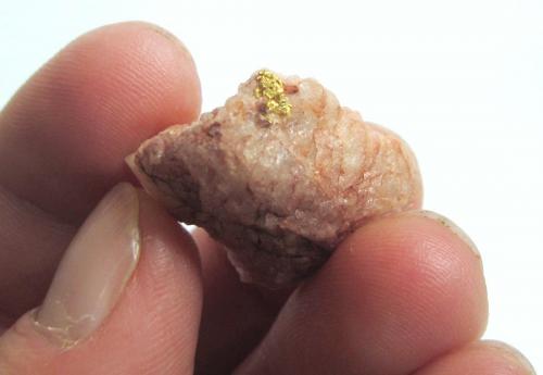 Gold, quartz<br />Viúva claim, Senador Mourão, Diamantina, Vale do Jequitinhonha, Minas Gerais, Brazil<br />Specimen size 3 cm, the gold measures 5 mm<br /> (Author: Tobi)