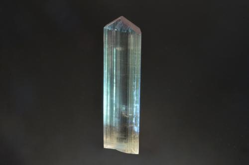 Diaspore<br />Pinarcik, Milâs District, Muğla Province, Aegean Region, Turkey<br />4.0 x 1.3 x 0.7 cm<br /> (Author: Michael Shaw)