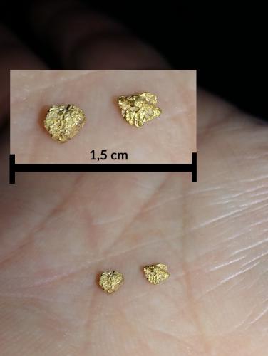Gold<br />Agua Fria River, Yavapai County, Arizona, USA<br />each nugget measures 3 mm<br /> (Author: Tobi)