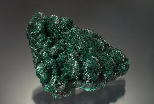 Malachite<br />Mina Mashamba West, Distrito Kolwezi, Lualaba, Cinturón de cobre de Katanga, Katanga (Shaba), República Democrática del Congo (Zaire)<br />8.7 x 5.6 x 3.3 cm<br /> (Author: Michael Shaw)