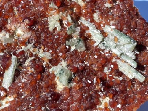 Grossular (variety hessonite), Diopside<br />Val di Susa, Provincia Ciudad metropolitana de Turín, Piamonte (Piemonte), Italia<br />7 x 7 cm<br /> (Author: Volkmar Stingl)