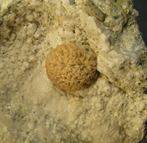 Calcita<br />Pedrera La Constancia, Can Poal, Terrassa, Comarca Vallès Occidental  , Barcelona, Cataluña / Catalunya, España<br />1 x 1 cm (grupo de cristales)<br /> (Autor: Frederic Varela)