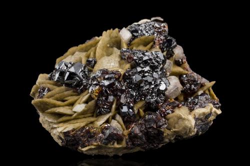 Sphalerite on Siderite with Dolomite<br />La Mure area, La Mure, Matheysine-Trièves, Grenoble, Isère, Auvergne-Rhône-Alpes, France<br />12.5 x 11 x 6.5 cm / main crystal: 3.1 cm<br /> (Author: MIM Museum)