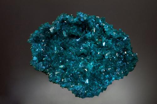 Dioptase<br />Gautala, Distrito Mindouli, Departamento Pool, República del Congo<br />8.0 x 6.0 x 2.5 cm<br /> (Author: Michael Shaw)