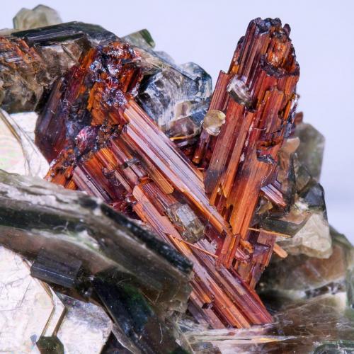Rutilo con Moscovita<br />Boiling Springs, Condado Cleveland, North Carolina, USA<br />cristal principal: 1 × 0.3 cm<br /> (Autor: Jordi Fabre)