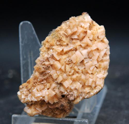 dolomita<br />Rambla del Rollet, El Alabastre, La Cañada del Fenollar, Comarca Campo de Alicante, Alicante / Alacant, Comunidad Valenciana / Comunitat Valenciana, España<br />6 x 4 cm<br /> (Autor: Pedro Antonio)