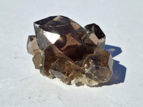 Quartz (variety smoky quartz)<br />Val Giuv, Tujetsch (Tavetsch), Valle Vorderrhein, Grisones (Grischun; Graubünden), Suiza<br />4,5 x 3 cm<br /> (Author: Volkmar Stingl)