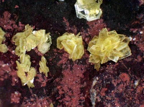 Saléeita<br />Mina El Pedregal, Hoya del Lobo, La Haba, Comarca La Serena, Badajoz, Extremadura, España<br />Campo de visión 4 mm.<br /> (Autor: Antonio P. López)