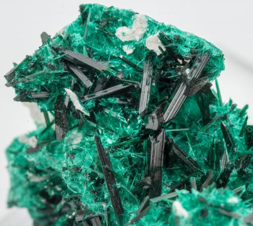 Brochantita<br />Mina Milpillas, Cuitaca, Municipio Santa Cruz, Sonora, México<br />cristal principal: 1 × 0.2 cm<br /> (Autor: Jordi Fabre)