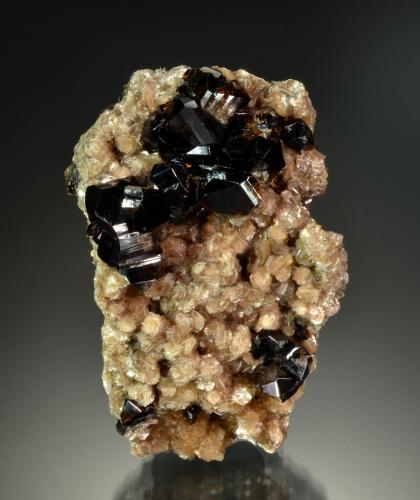 Cassiterite<br />Minas da Panasqueira, Aldeia de São Francisco de Assis, Covilhã, Castelo Branco, Cova da Beira, Centro, Portugal<br />5.8 x 4.1 x 2.8 cm<br /> (Author: Michael Shaw)