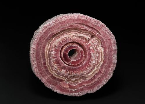 Rhodochrosite<br />Mina Capillitas, Departamento Andalgalá, Catamarca, Argentina<br />12.3 x 12.5 x 2.2 cm<br /> (Author: am mizunaka)