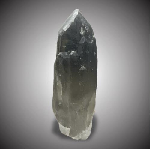 Cuarzo (variedades ahumado y lechoso)<br />Pedrera Mas Sever, Massabè (Mas Ceber), Sils, Comarca La Selva, Gerona / Girona, Cataluña / Catalunya, España<br />12x4,5cm.<br /> (Autor: castrominerals)