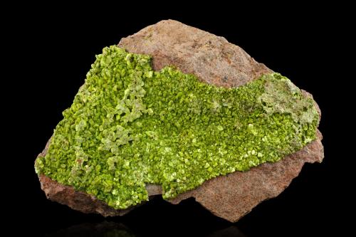 Meta-autunite<br />Les Oudots Quarry, Grury, Issy-l'Evêque, Autun District, Saône-et-Loire, Bourgogne-Franche-Comté, France<br />25 x 20 x 7 cm / main crystal: 0.7 cm<br /> (Author: MIM Museum)