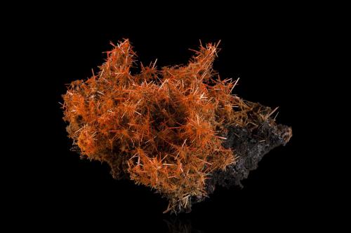 Crocoite<br />Adelaide Mine, Dundas mineral field, Zeehan District, West Coast Council, Tasmania, Australia<br />25 x 25 x 15 cm / main crystal: 3.5 cm<br /> (Author: MIM Museum)